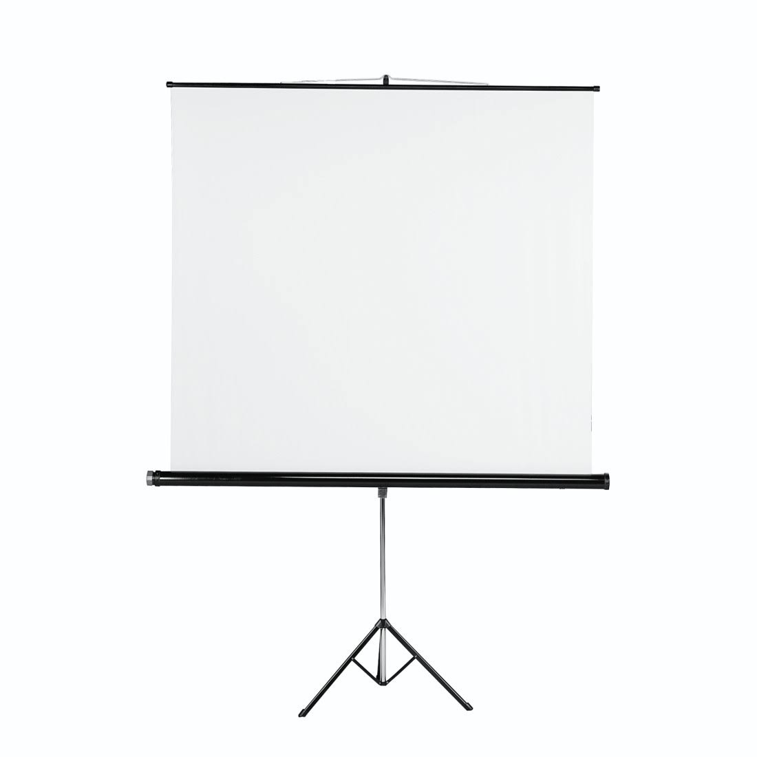 Projection Screen C9204