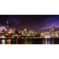 Chicago Skyline Wall Mural J9686