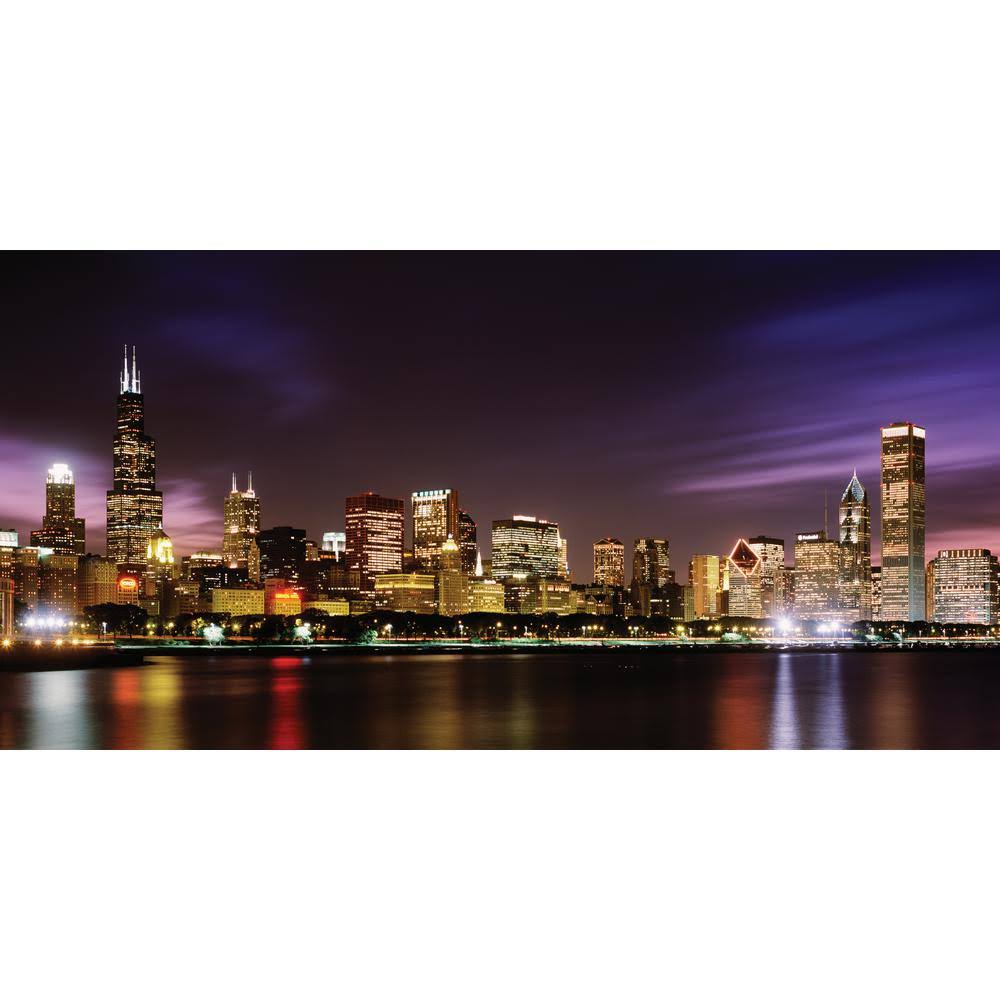 Chicago Skyline Wall Mural J9686