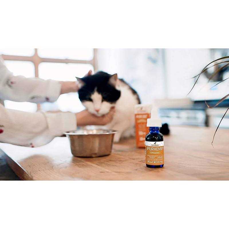 Hemp Oil for Dogs F2272