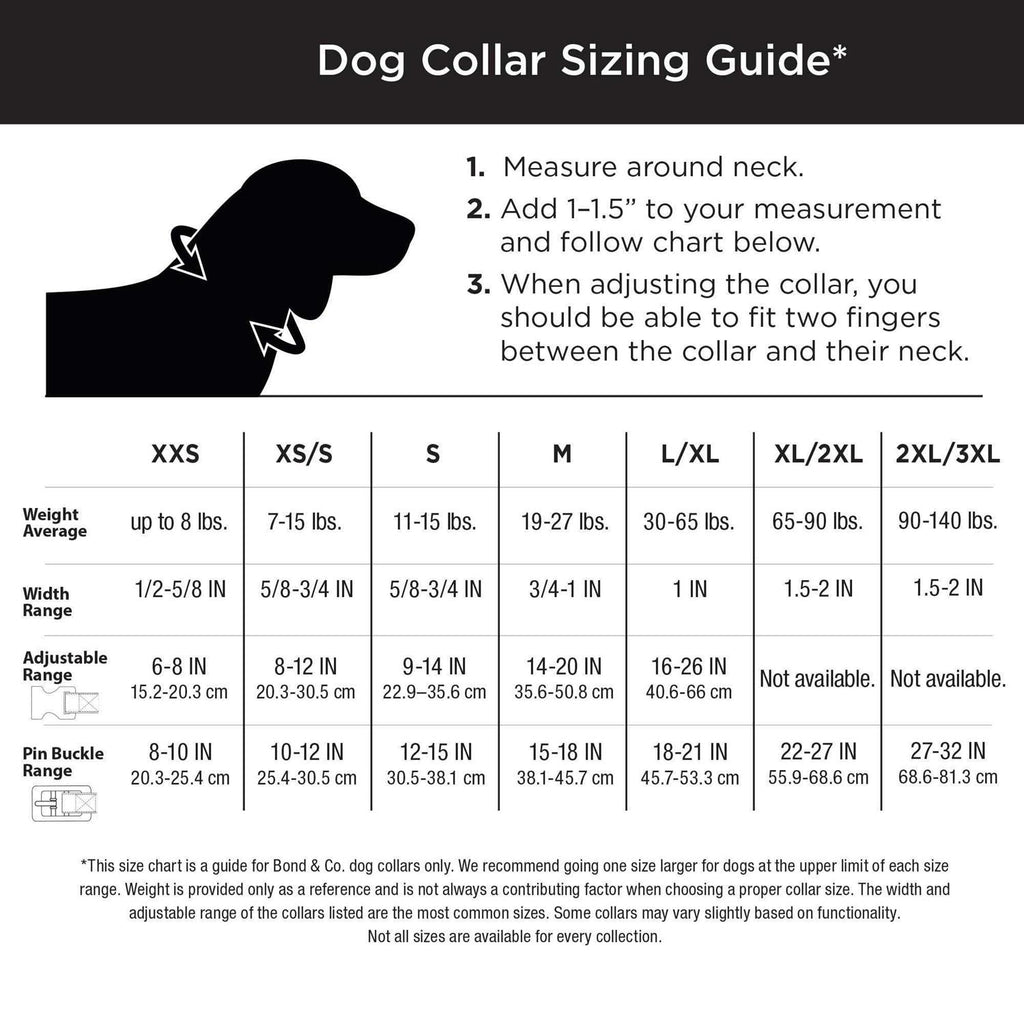 Teal Dog Collar C796137
