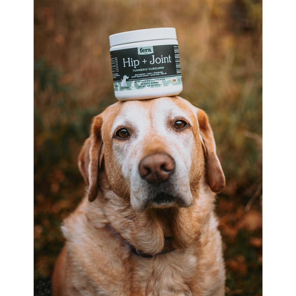 Hip & Joint Soft Chew Dog Supplement X547358