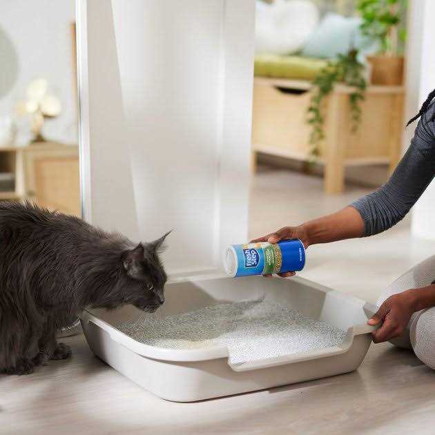 Litter Box Attractant Powder M455479