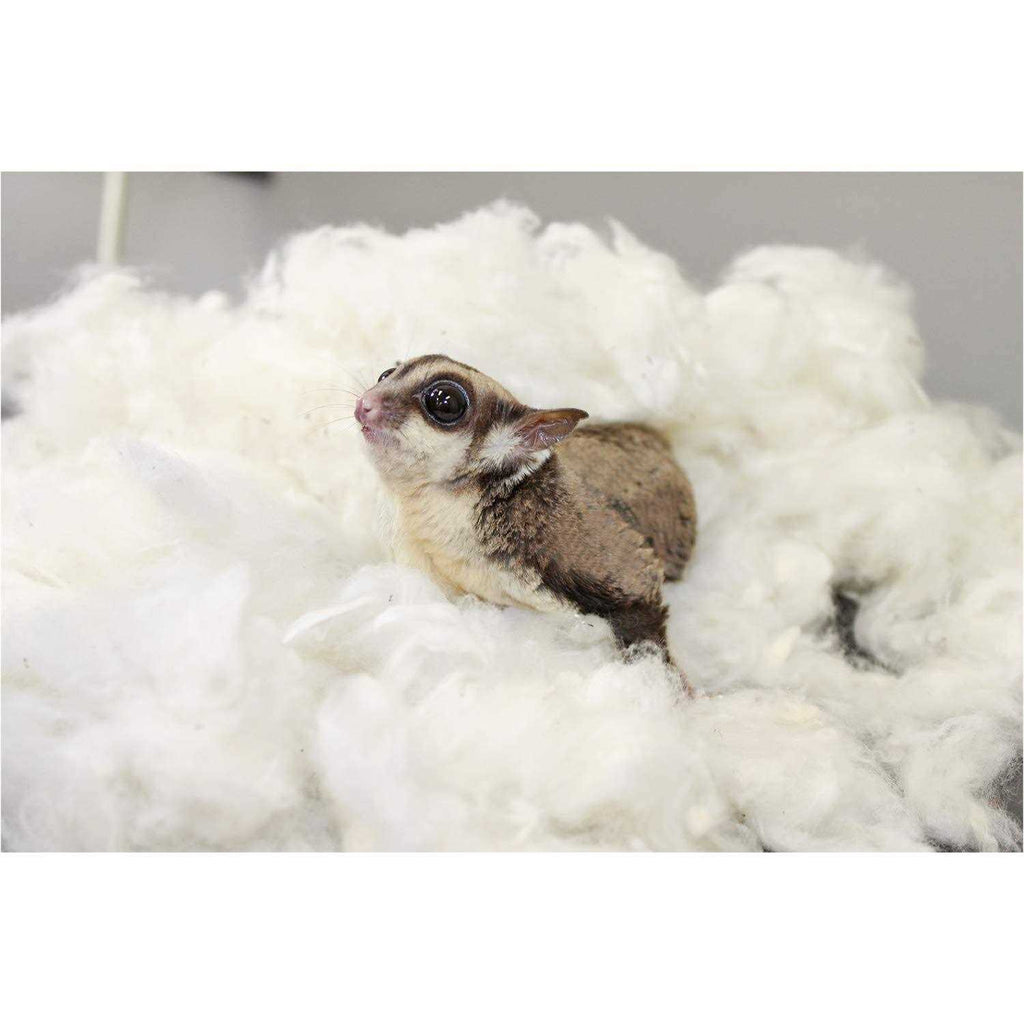 100% Cotton Animal Bedding X2972