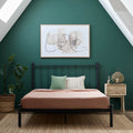 Black Metal Queen Platform Bed S279