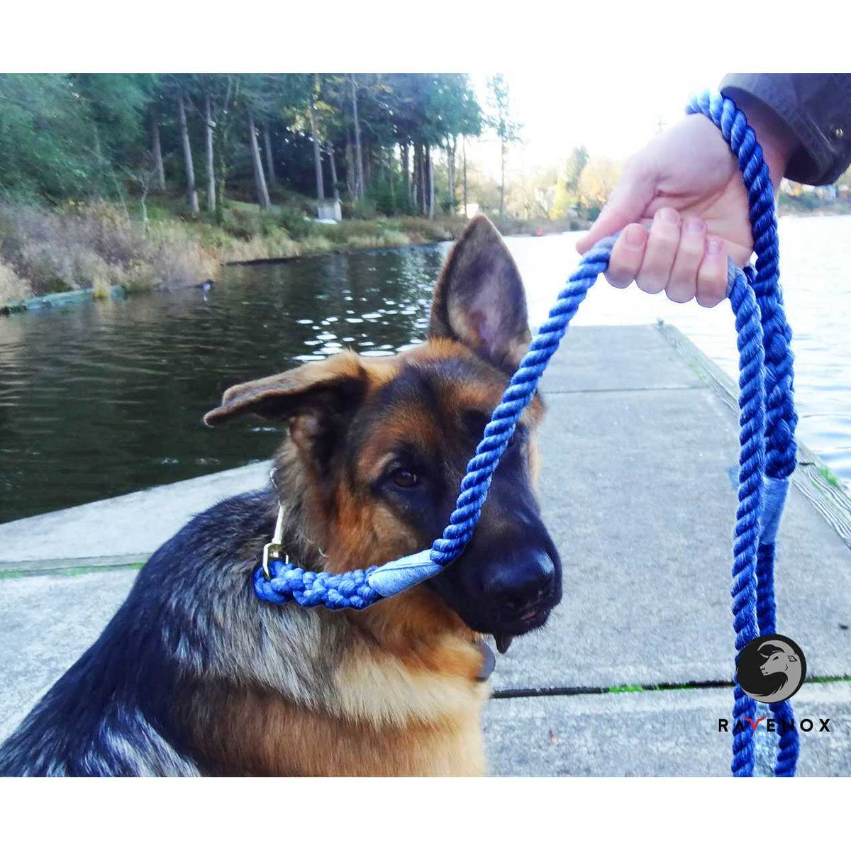 Cotton Rope Leash F1201