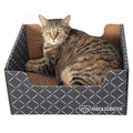 Extra-Large Heavy Duty Cardboard Cat Scratcher and Lounger Box with Refillable Scratch Pad S54035