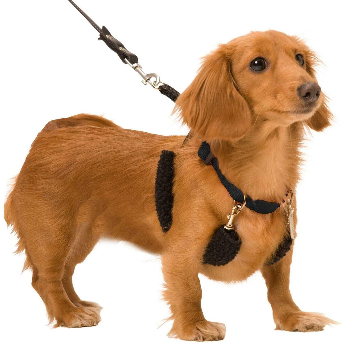 Halter M667