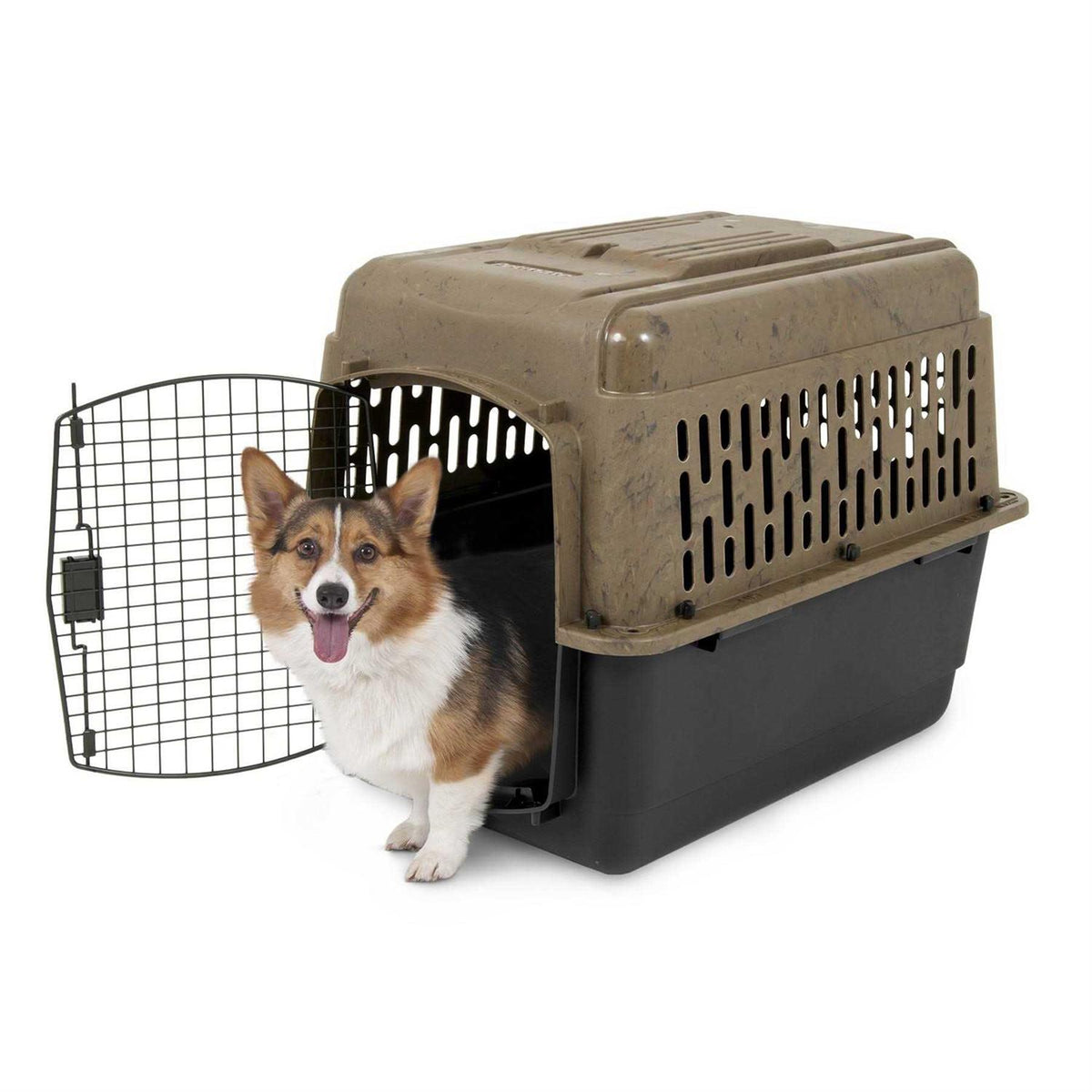 Kennel V482