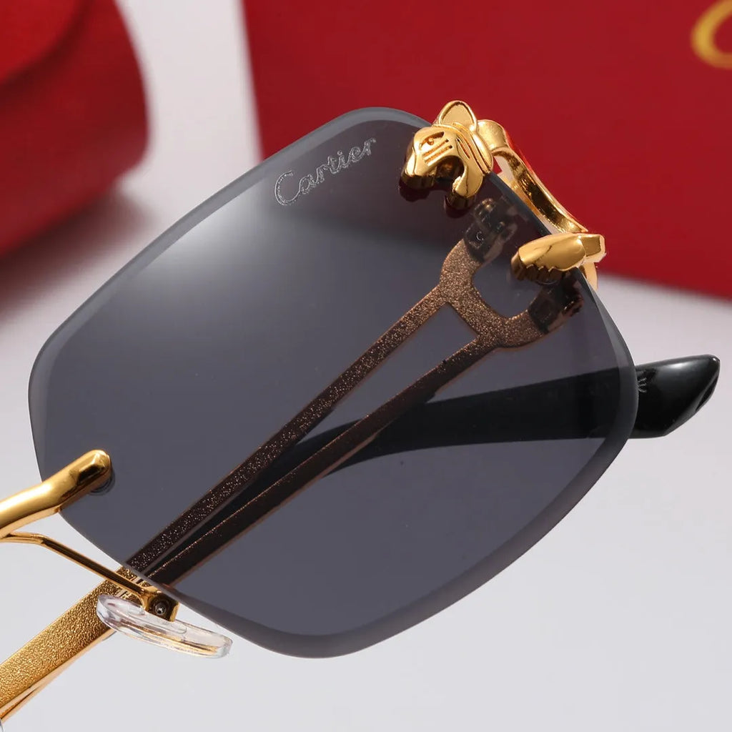 Leopard Frame Polarized Sunglasses H6228