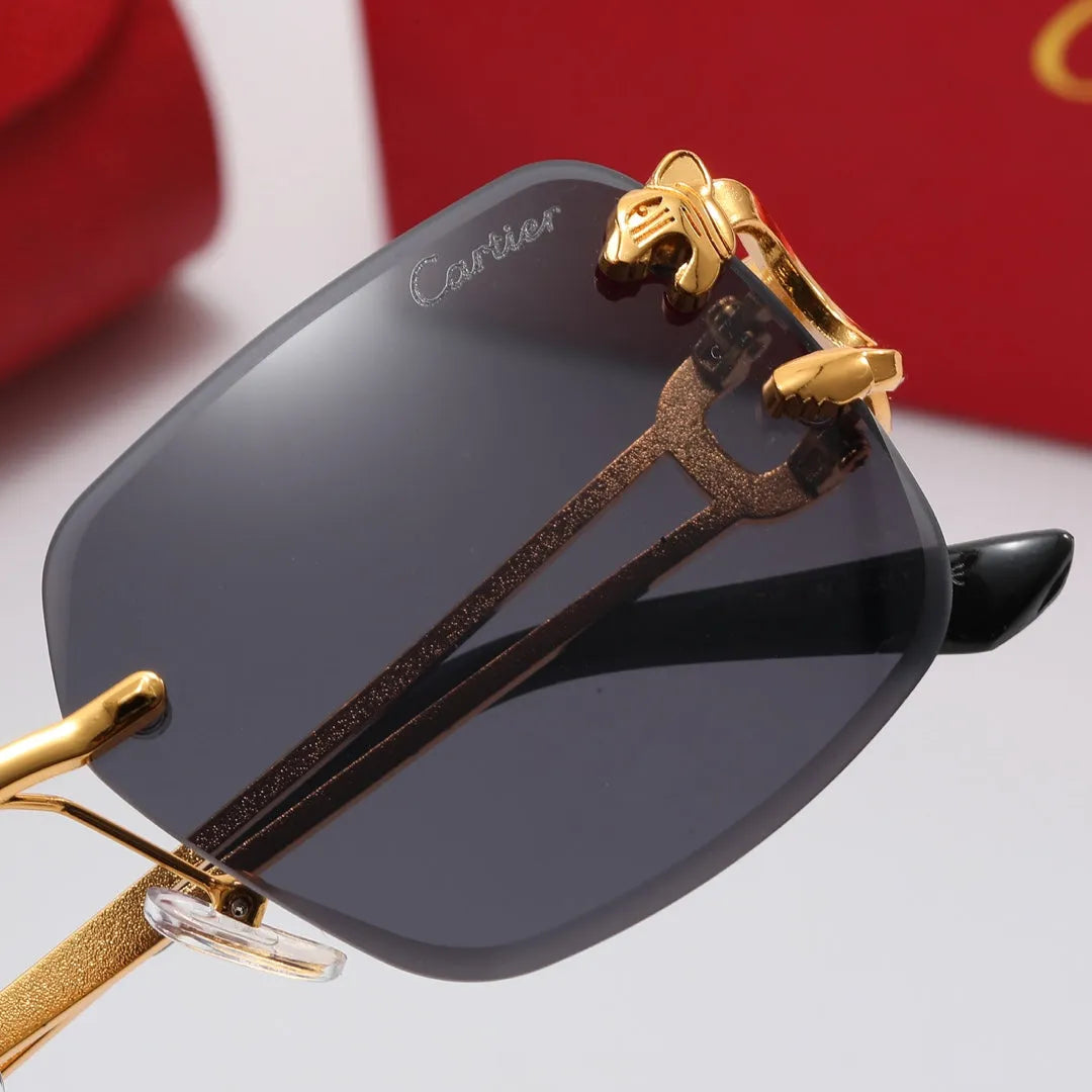 Leopard Frame Polarized Sunglasses H6228