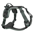 Dog Harness L183891