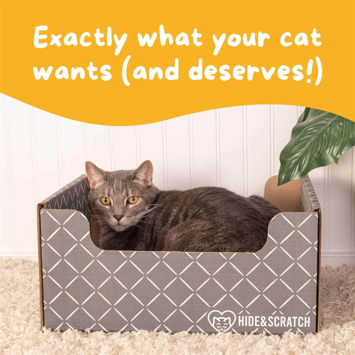 Extra-Large Heavy Duty Cardboard Cat Scratcher and Lounger Box with Refillable Scratch Pad S54035