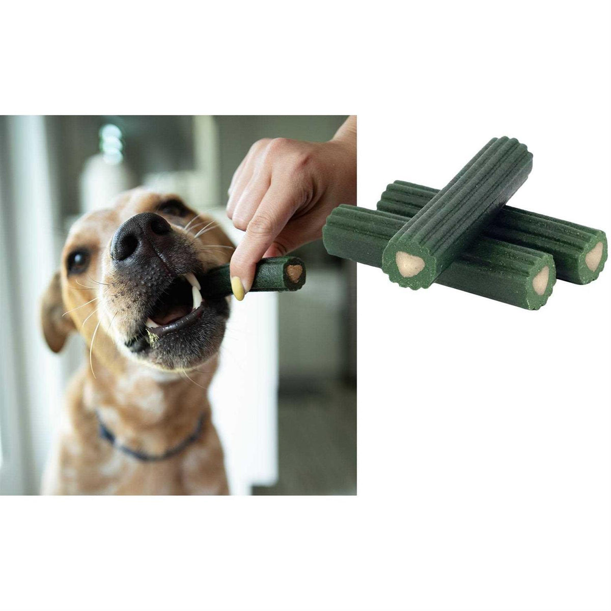 Large Dental Dog Treats O24332