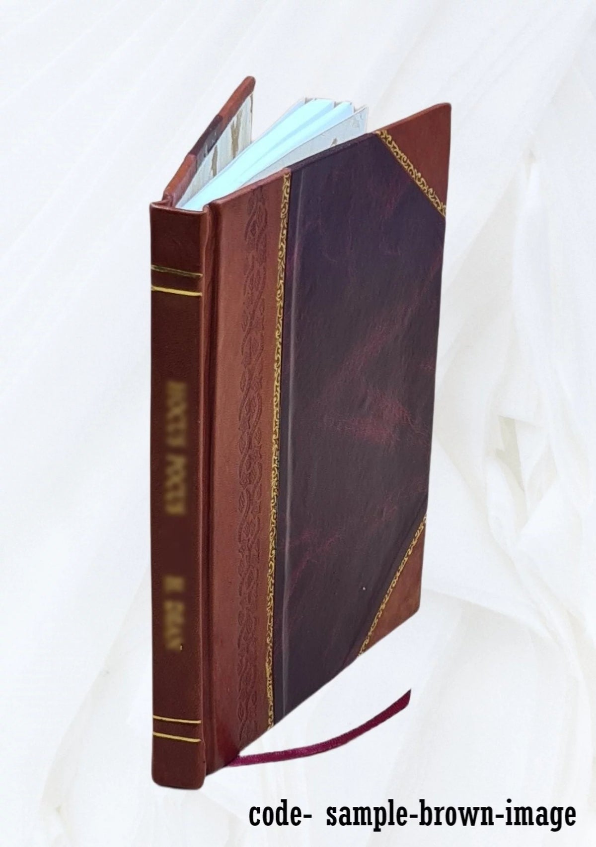 Картографические материалы 2 выпуск План осады и обороны города Смоленска 1904 Leather Bound M18520