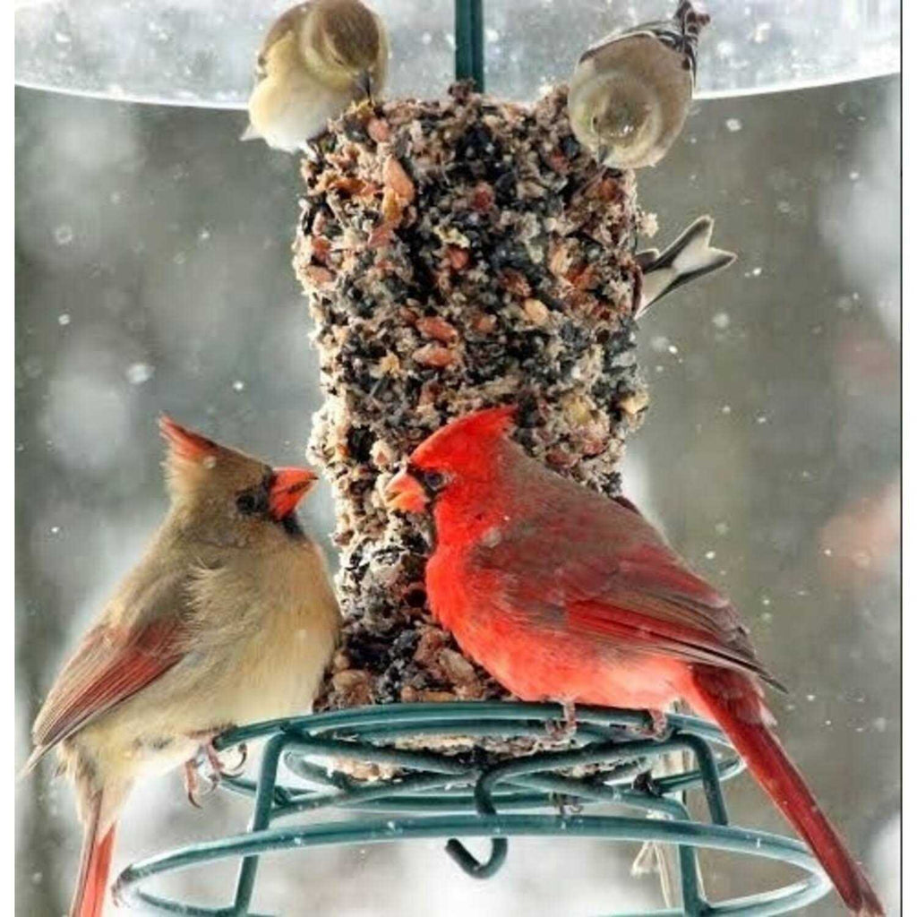 Woodpecker Feast Cylinder U3011
