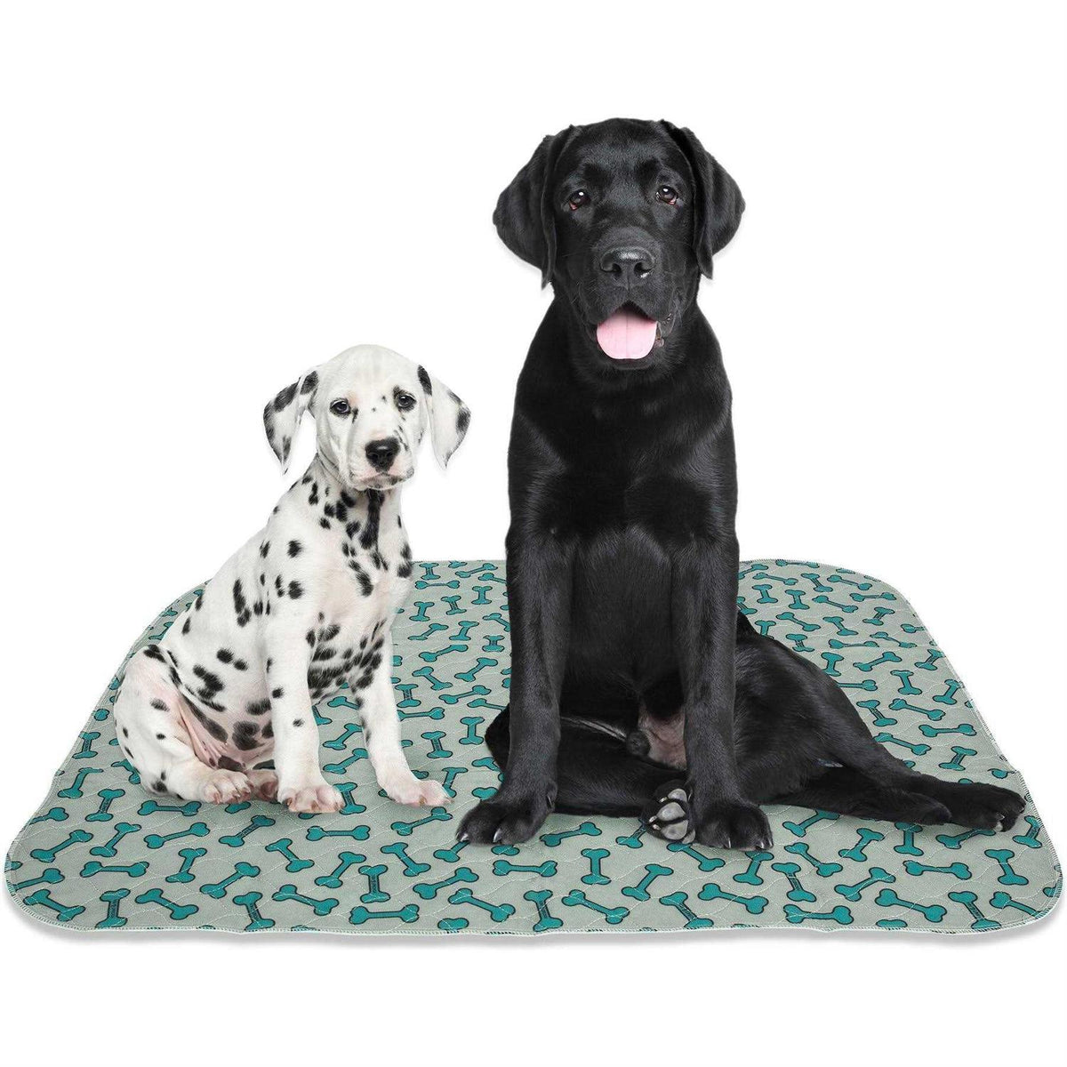 Washable Reusable Pee Pads for Dogs Q24622