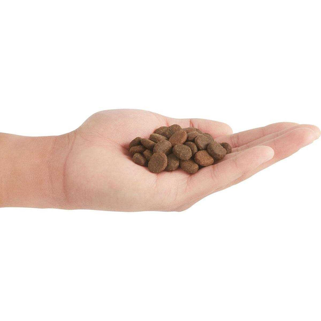 Dry Dog Food I715449