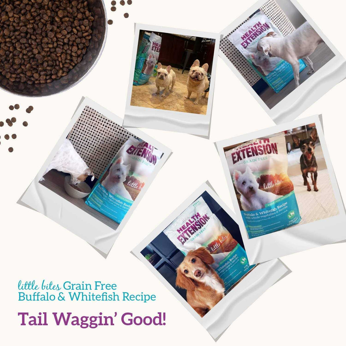 Grain Free Buffalo & Whitefish Dry Dog Food K644