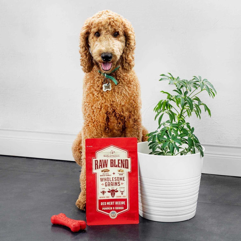 Cage Free Recipe Dog Food B561