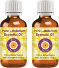 Pure Labdanum Essential Oil Steam Distilled 100ml X 2 B98314