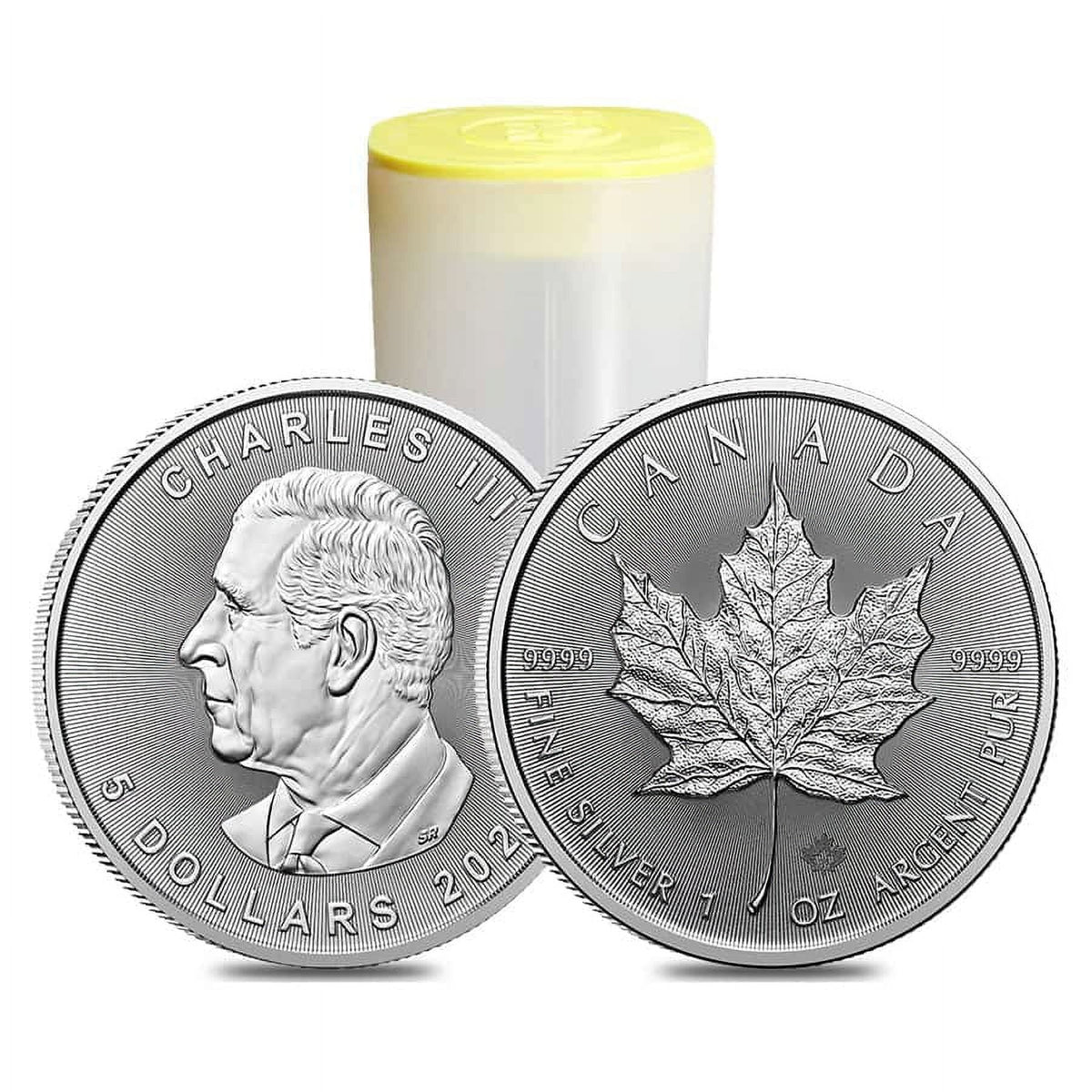 1 oz Canadian Silver Maple Leaf Coin R28907