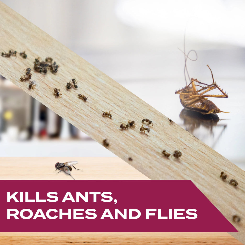 Indoor and Outdoor Ants Roaches and Flies Killer Spray, 12 fl oz O556820
