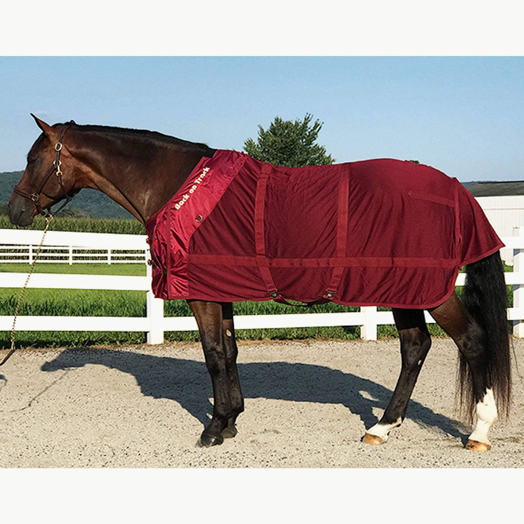 Therapeutic Mesh Horse Sheet O287