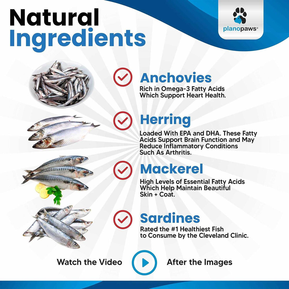 Omega 3 Fish Oil for Cats D30257