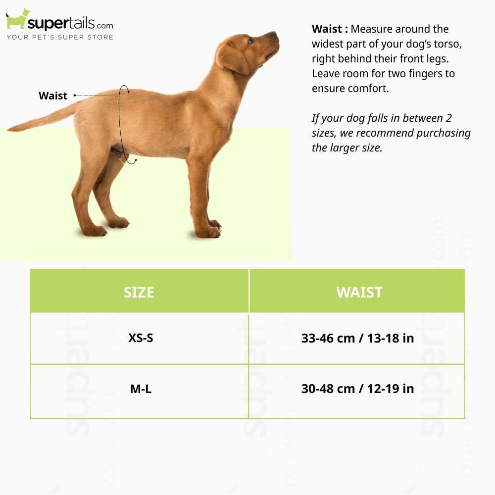 Disposable Male Dog Diapers Y48768