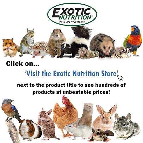100% Cotton Animal Bedding X2972
