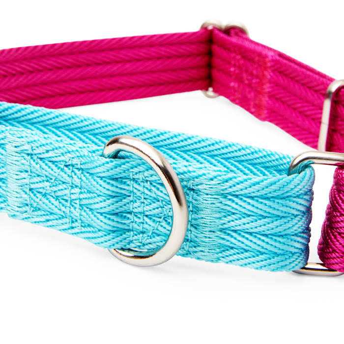 Teal Dog Collar C796137