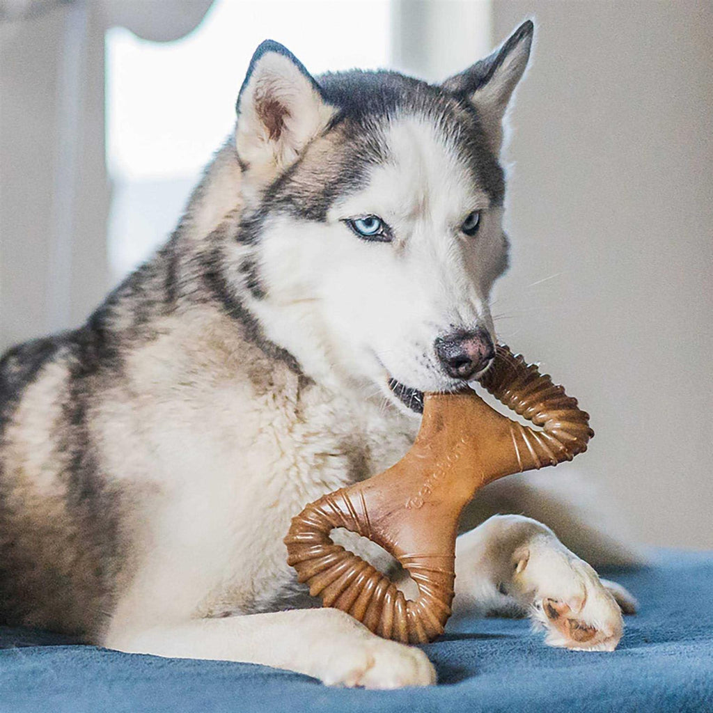 Dental Chew Dog Toy W938980